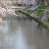 静かな春