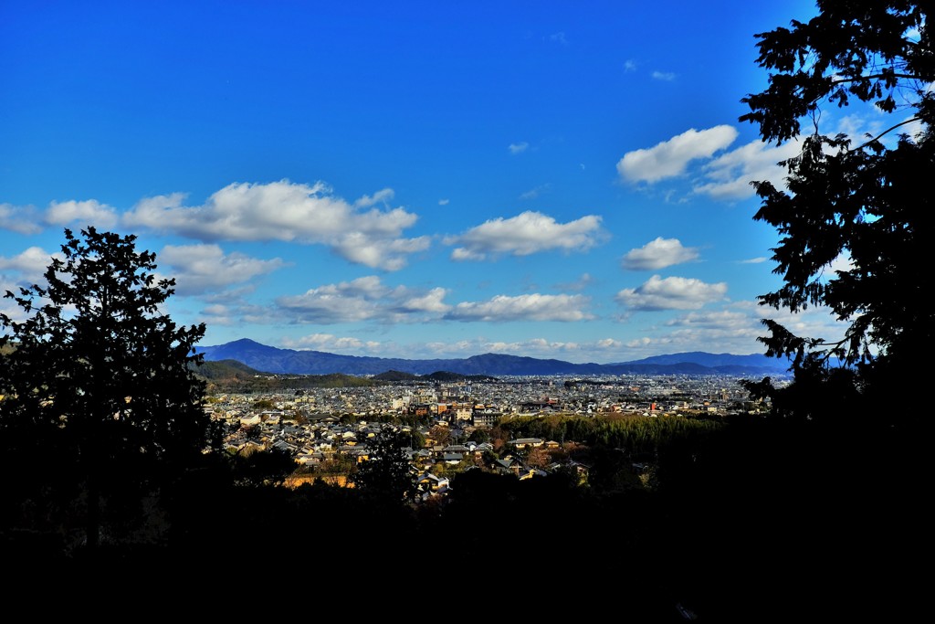 景