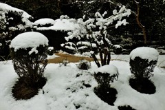 趣き