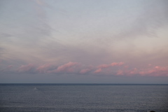 ピンクの優しさ