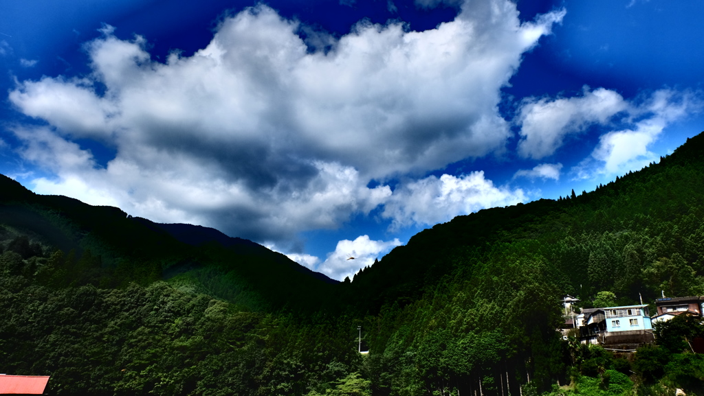 夏雲