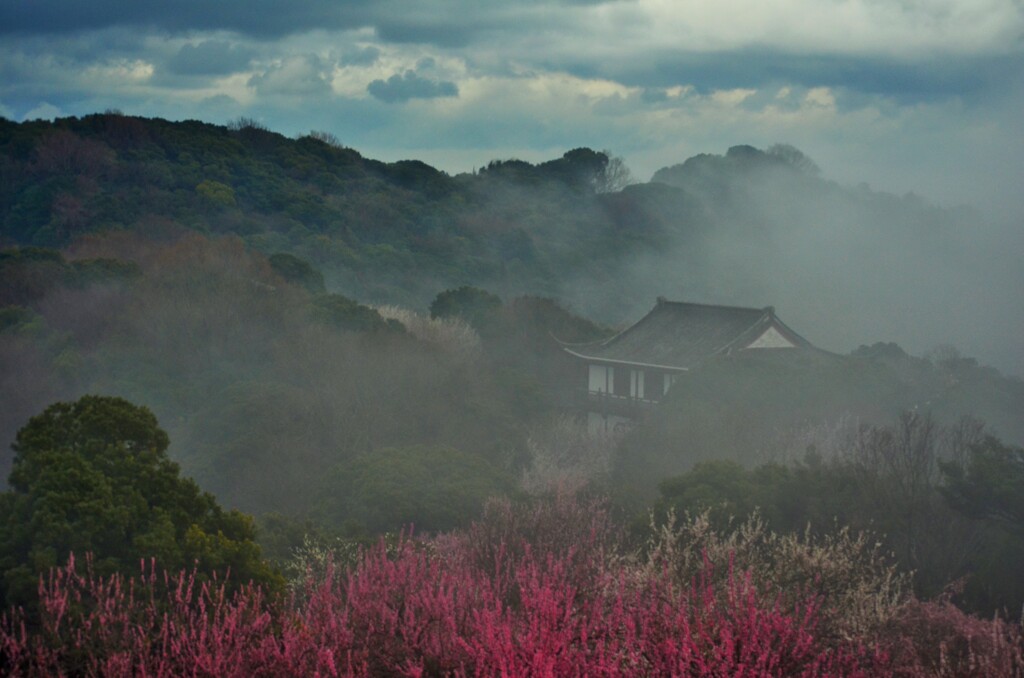 梅山