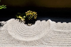 砂渦