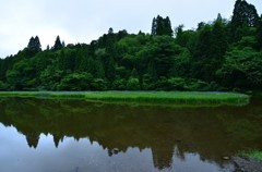 杜若島