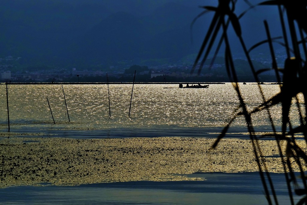 夕煌