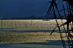 夕煌