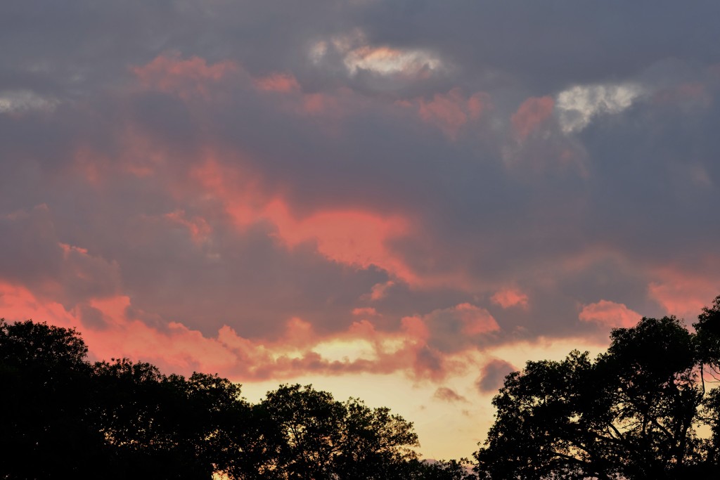 朱雲