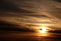 夕焼雲