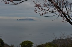 遠望