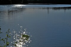 夕池