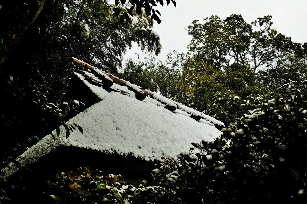 雪の藁葺き