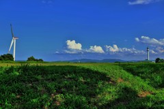 烏丸半島の夏