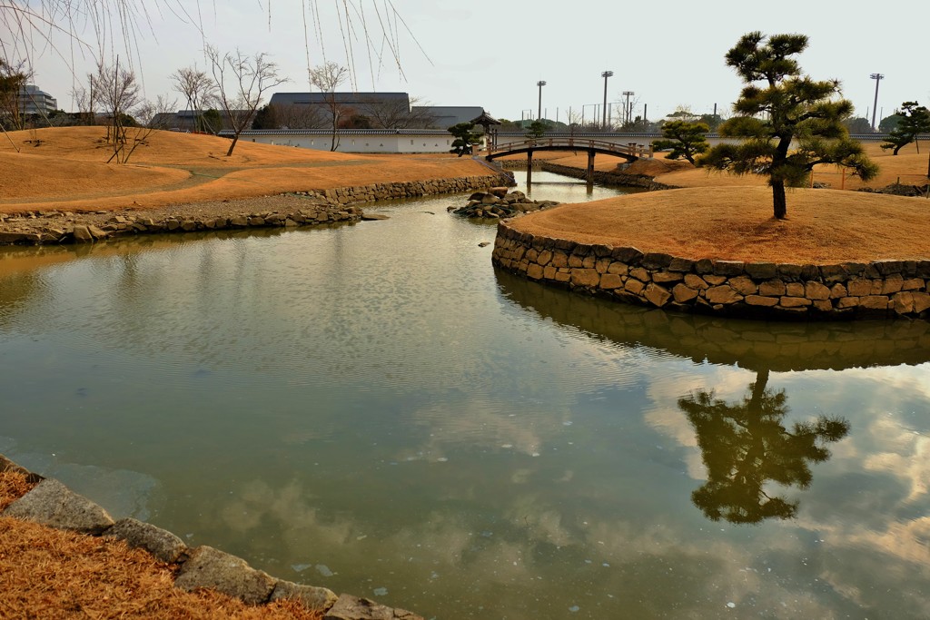 一本松