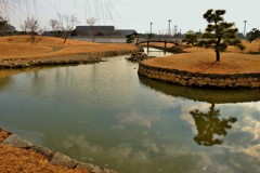 一本松