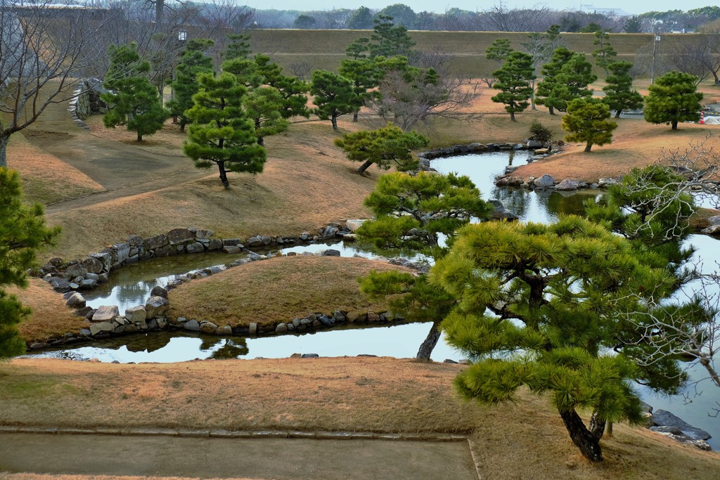 松点景