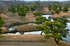 松点景