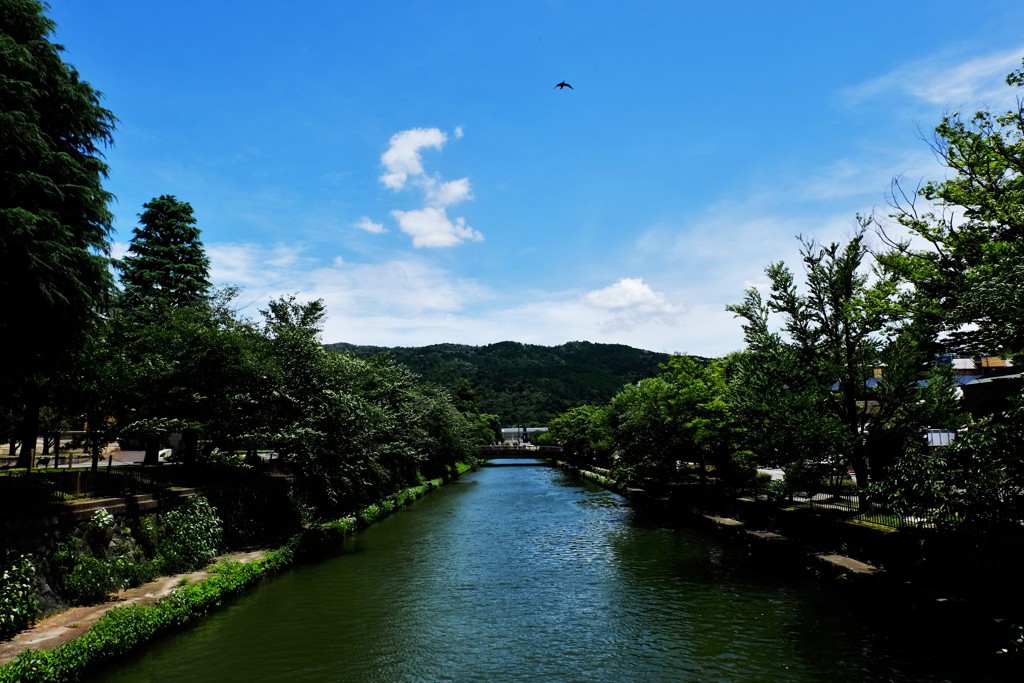 東山夏空