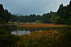 平池・秋