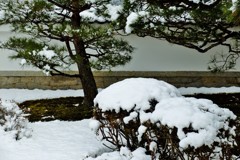 白塀