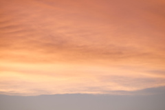 薄橙世界 薄橙世界