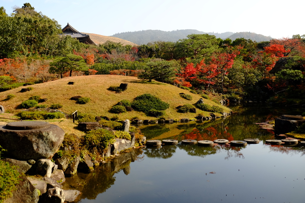 秋日の池