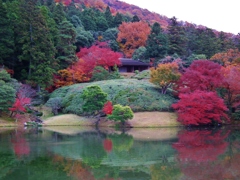 碧と赤の饗宴