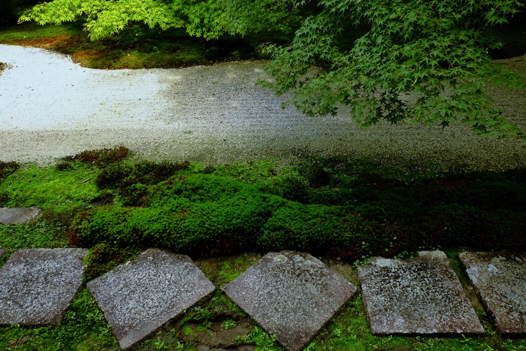 敷石・苔・白砂