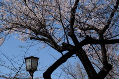 交錯