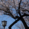交錯