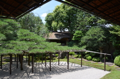 芹沢鴨、末期の庭