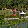 庭園