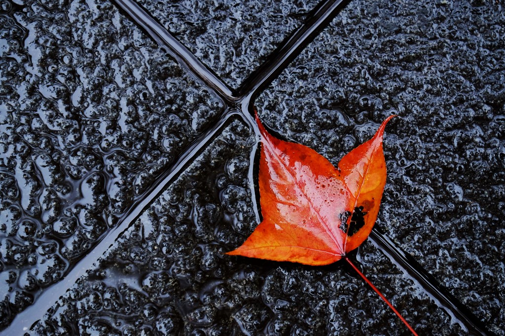 雨後