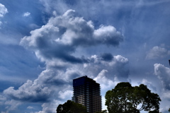 惜雲
