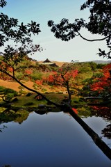 張出し