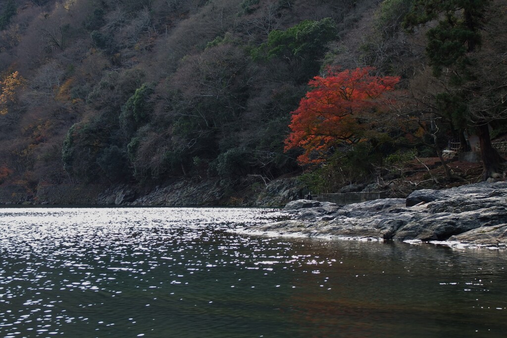 川面の光