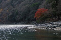 川面の光