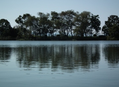 水郷林