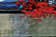 紅葉影