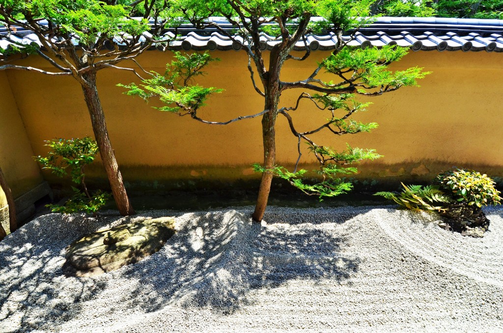 白砂青松