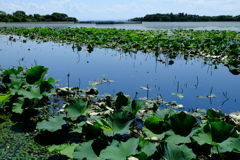 湖道