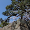 石垣