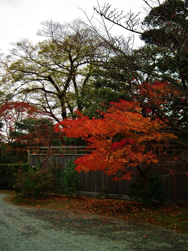 修学院