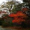 修学院