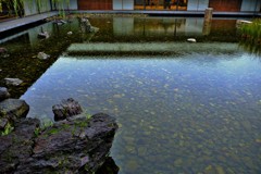 静寂の池/京都迎賓館