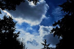 空