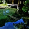 空映える