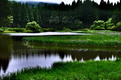 森閑