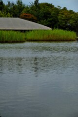 そよ風