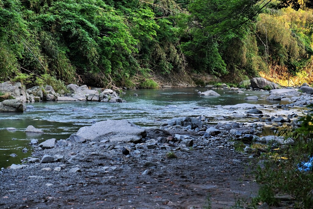 川の流れに