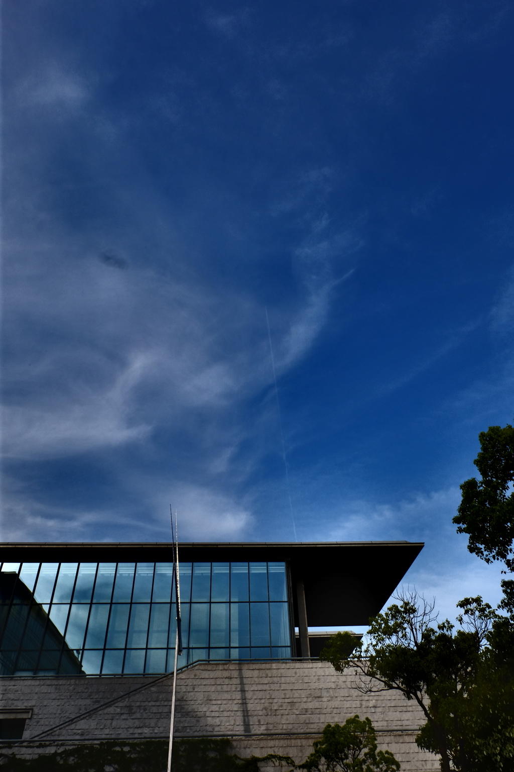 美術館の空